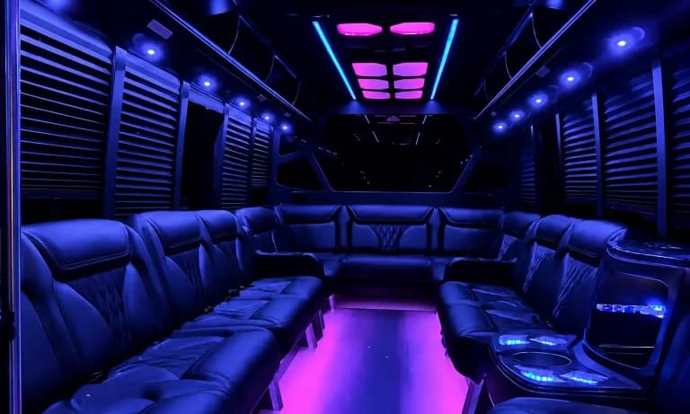 Ambassador Buses 26-passenger party bus