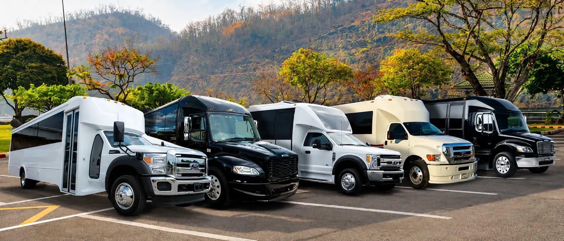 Ambassador Buses fleet lineup
